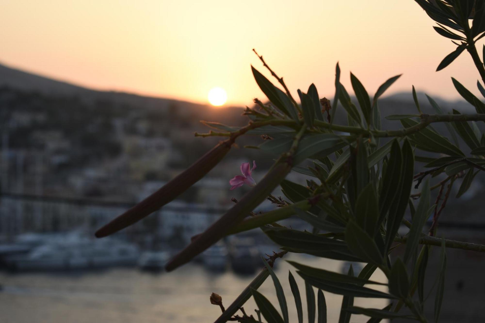 Marea Studios Symi Exterior photo